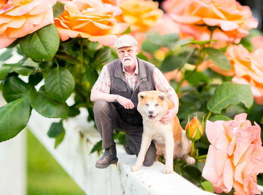 犬と老人トリミング.jpg