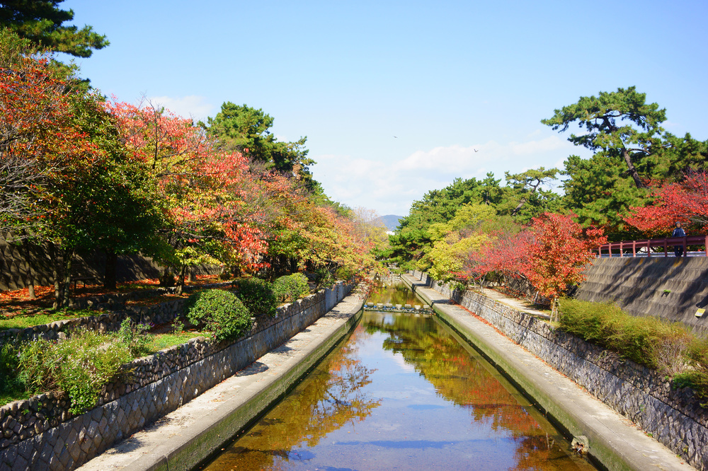 shukugawapark.jpg