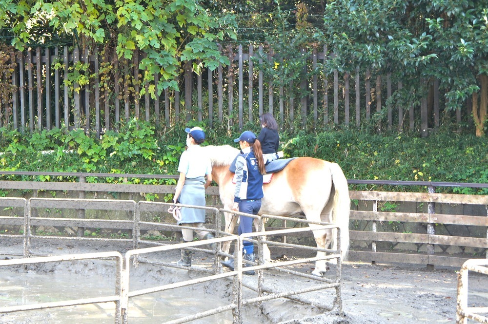 DSC02830.JPG