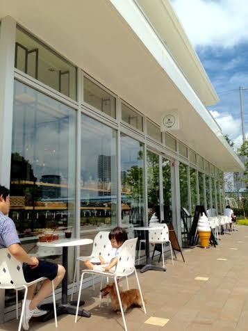 ドッグラン お散歩の後に行きたい 豊洲の ペット同伴ok オススメcafe3選 Mammemo