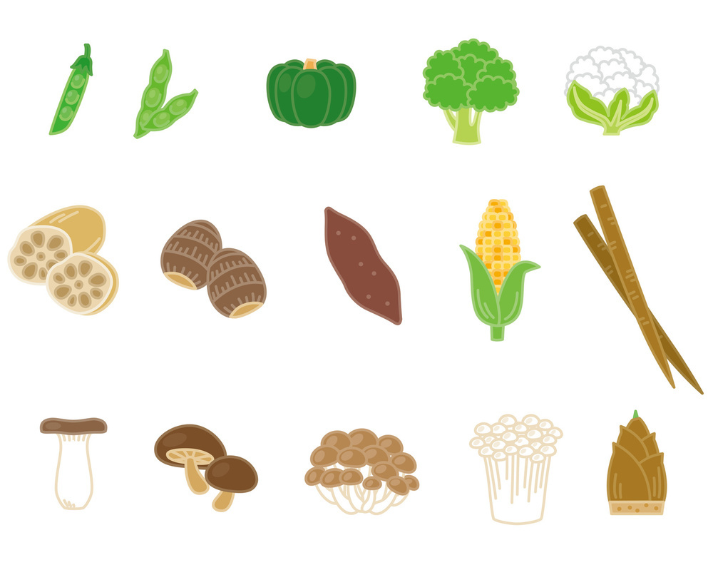 今が旬 子どもと食べたい秋野菜の基礎知識 選び方 保存方法 Mammemo