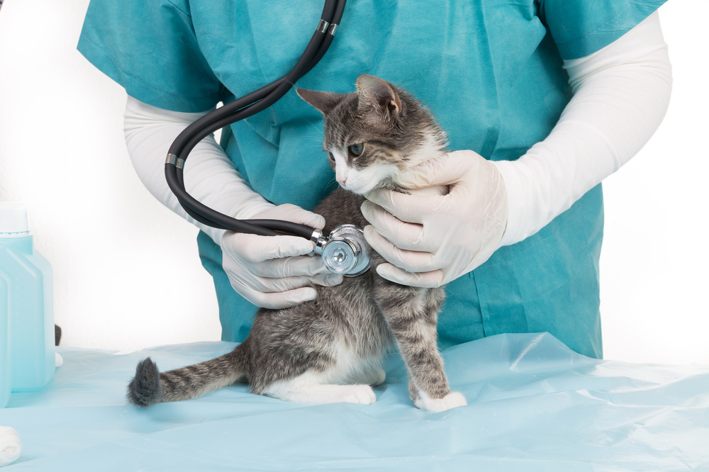 Fotolia_91283455_Subscription_Monthly_M.jpg