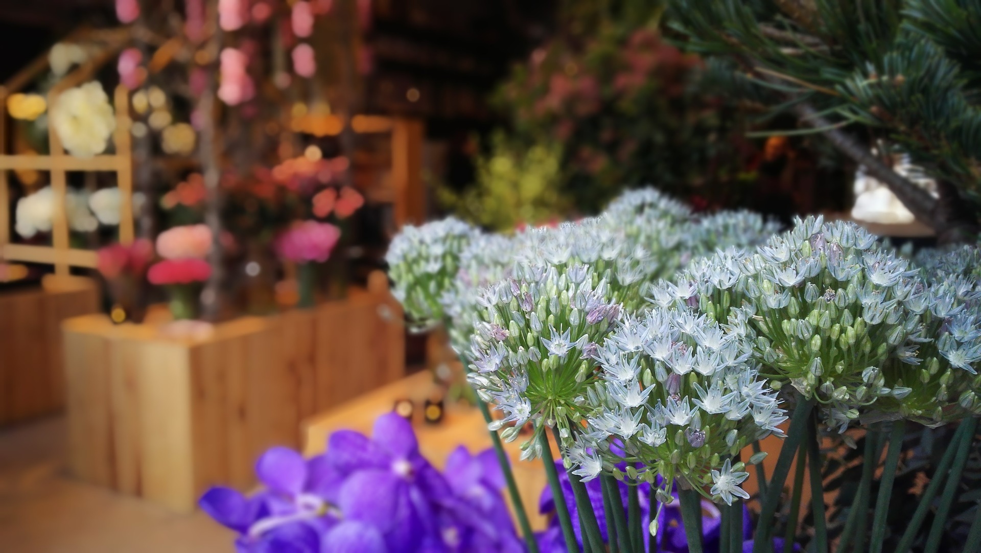 親子で花と緑を楽しめる表参道ニコライ バーグマンのカフェ Mammemo