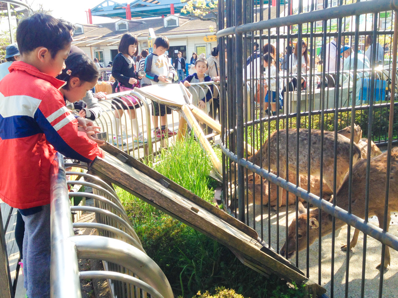 歳の差きょうだいでも楽しめる 下町のオアシス あらかわ遊園 Mammemo